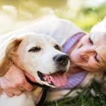 A importância da sustentabilidade nos cuidados com pets escolhas que fazem a diferença no planeta e na vida dos animais