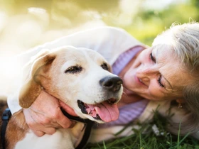 A importância da sustentabilidade nos cuidados com pets escolhas que fazem a diferença no planeta e na vida dos animais