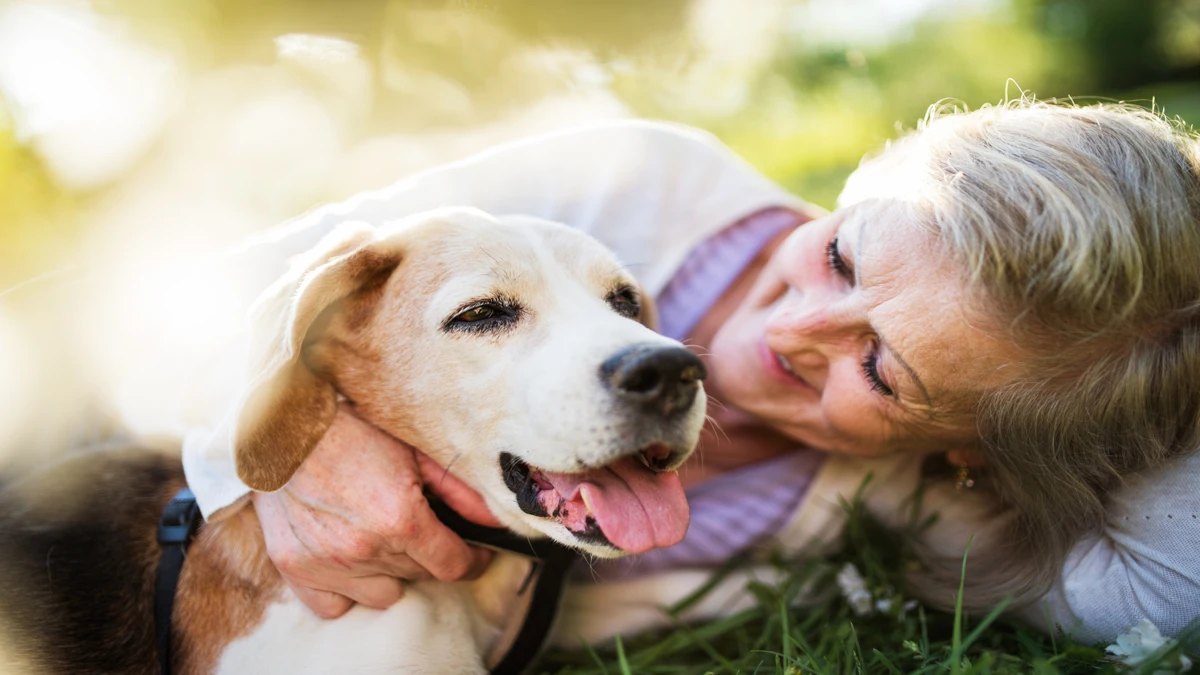 A importância da sustentabilidade nos cuidados com pets escolhas que fazem a diferença no planeta e na vida dos animais