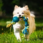 Brinquedos ecológicos para pets opções e benefícios que vão além da diversão