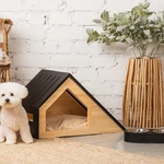 Como escolher acessórios ecológicos para seu pet: guia prático para tutores conscientes