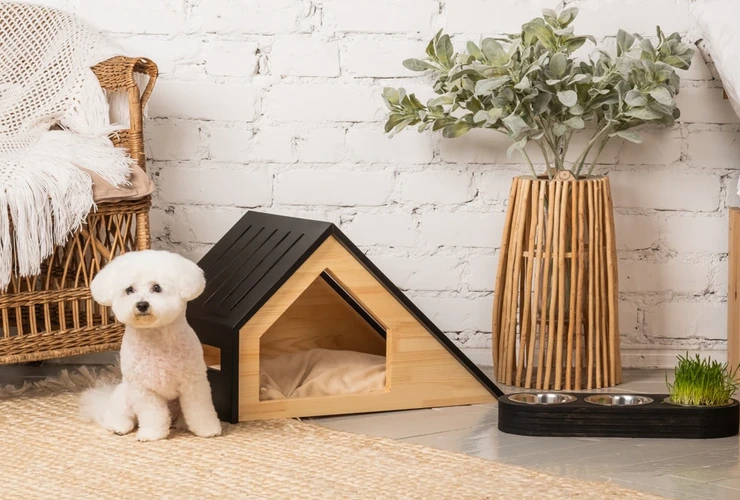 Como escolher acessórios ecológicos para seu pet: guia prático para tutores conscientes