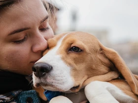 Como fazer produtos de higiene pet em casa economia, carinho e sustentabilidade para seu melhor amigo