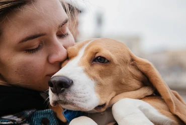 Como fazer produtos de higiene pet em casa economia, carinho e sustentabilidade para seu melhor amigo