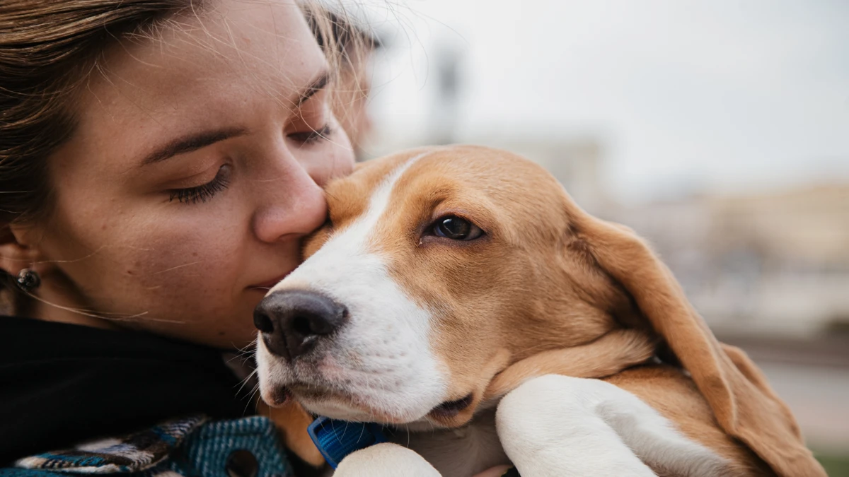 Como fazer produtos de higiene pet em casa economia, carinho e sustentabilidade para seu melhor amigo