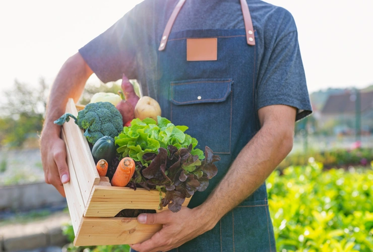 Como incluir alimentos orgânicos na rotina sem gastar mais