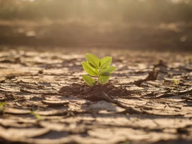 Impacto ambiental da produção de carne entenda por que pensar antes de consumir