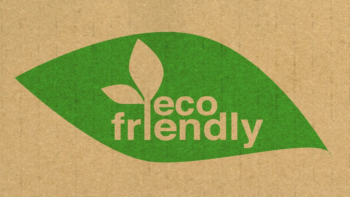 Marcas com responsabilidade ambiental: descubra líderes que fazem a diferença