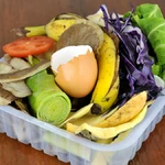 Vantagens das composteiras domésticas descubra como transformar resíduos em vida