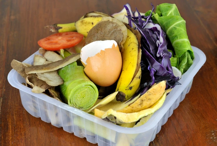 Vantagens das composteiras domésticas descubra como transformar resíduos em vida