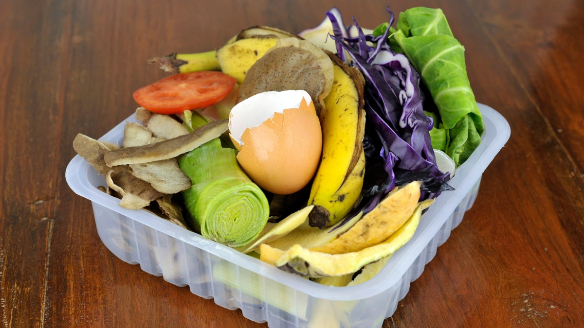 Vantagens das composteiras domésticas descubra como transformar resíduos em vida