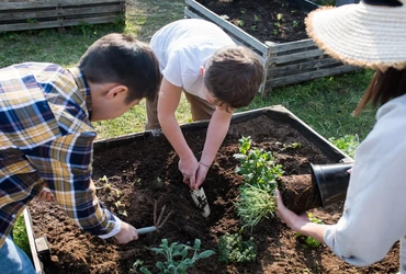 Como fazer horta em casa confira 8 passos importantes