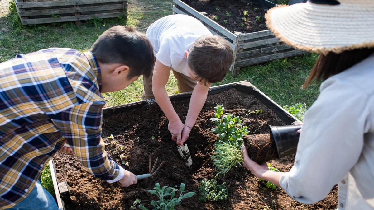 Como fazer horta em casa confira 8 passos importantes