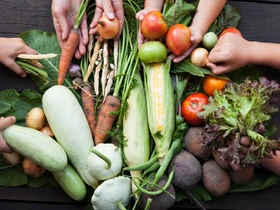 Transformando o solo em vida, por que apostar na agricultura regenerativa agora