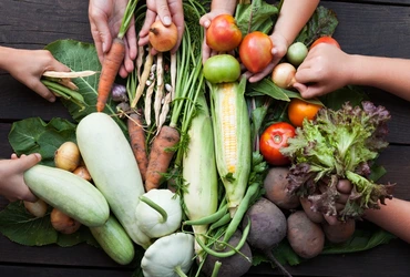 Transformando o solo em vida, por que apostar na agricultura regenerativa agora