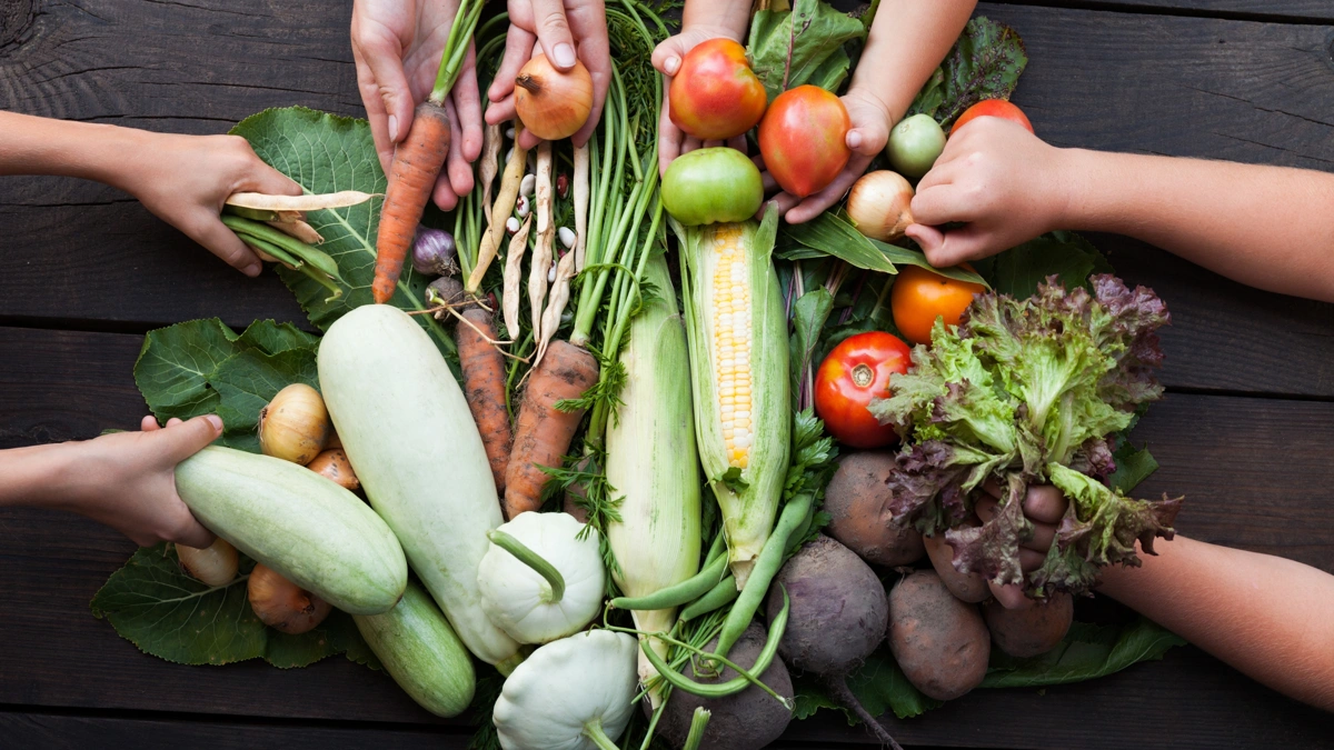 Transformando o solo em vida, por que apostar na agricultura regenerativa agora