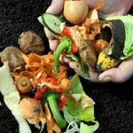 Compostagem doméstica sem mau cheiro guia prático para sua casa