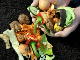 Compostagem doméstica sem mau cheiro guia prático para sua casa