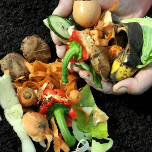 Compostagem doméstica sem mau cheiro: guia prático para sua casa