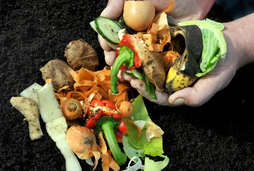 Compostagem doméstica sem mau cheiro guia prático para sua casa